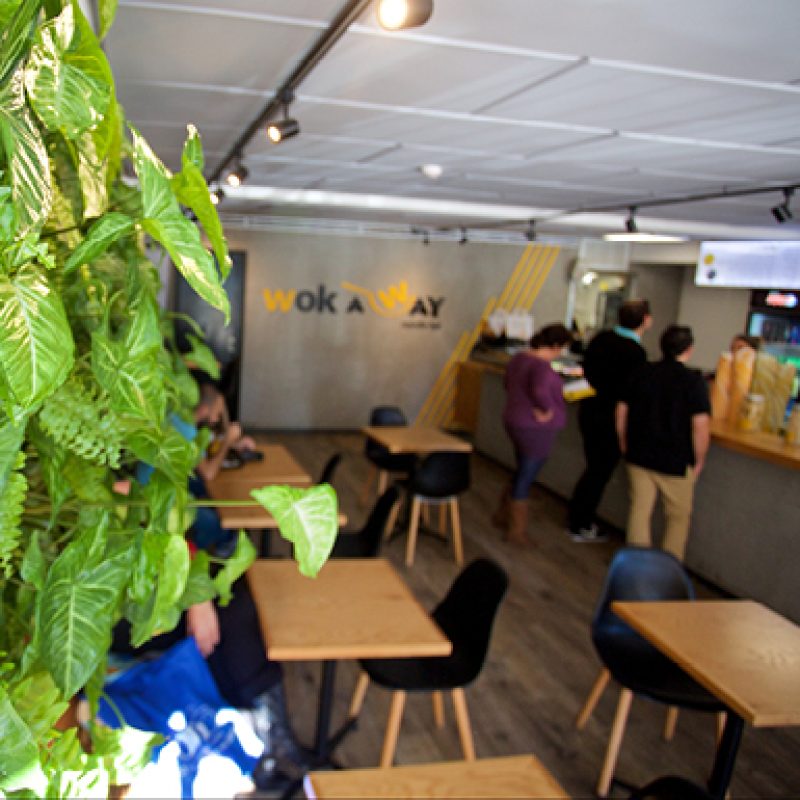 וואק אוואי4